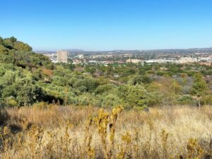 Ingryping maak Happy Valley weer veiliger, vriendeliker