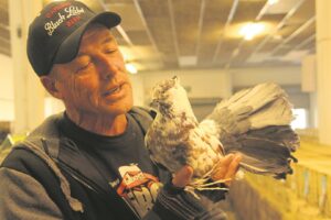 Nasionale skou sprei vlerke wyer