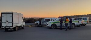 Police recover stolen sheep worth R90 000 in Bloemfontein