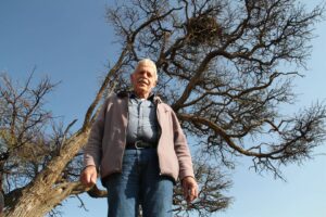 White back vultures more than 20 years old found in recent study