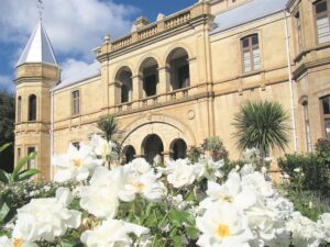 Museums se verval skok