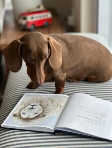 Diereprater se eerste boek vertel verhale van lesse by diere geleer