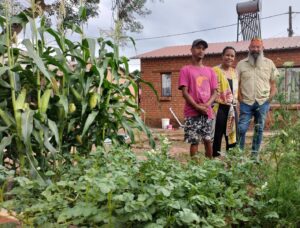Groentetuine verrys in straat in Heidedal