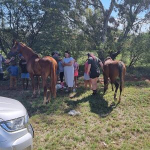 Horse theft and illegal bush racing on the increase in and around Kimberley