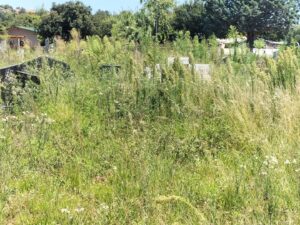 Memorium gou netjieser