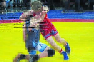 Stoeiers pen opposisie vas