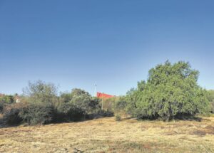 Inwoners wil buurt beveilig