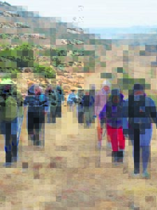 Project preserves environment