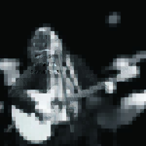 Songbird touring home