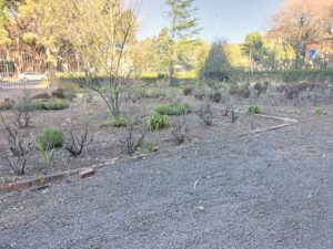 Ou Presidensie se tuine opgeknap