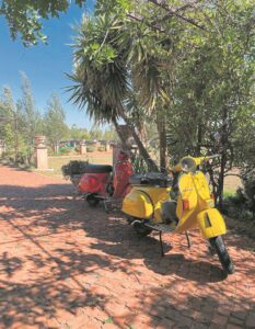 Vespa’s wys hul flair op Franse Herfsmark