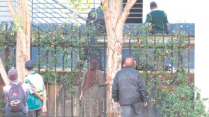 Questions surround boy’s descent