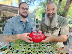 Fun gardening awaits tomato growers