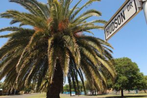 Inbreker in Bloemfontein loop sy rieme styf