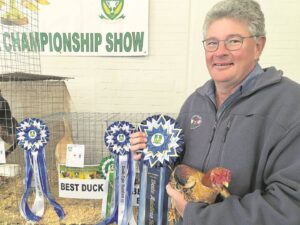 Die vere maak wel die voël