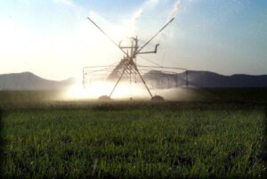 Kragverhoging doodskoot vir landelike gebiede