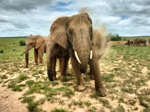 Hoe gemaak met vakansiefoto’s?