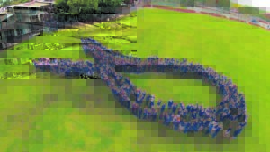 Possies se reuse-strik help met bewusmaking