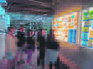 Putting what nature has to offer, on display