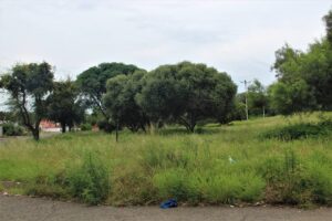 Buurte span kragte saam