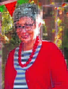 Skool-vreugdes in aftrede gekoester