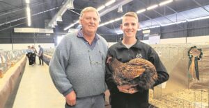 Kaapse haan kraai koning, haal tamaai prys