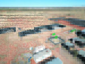 Algae plant ignites aspirations for world-class research