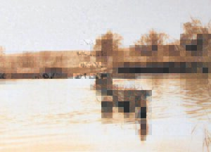 Praatjie oor trek van Angola na Suidwes-Afrika ’n terugflits