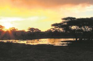 Kuier lekker by boskonsert