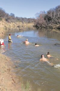 Jaarlikse bibberswem trek wyd belangstelling