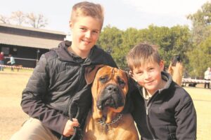 Boerboele (en hul eienaars) pronk op spogskou
