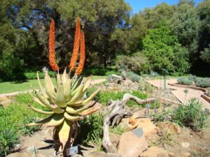 Free State nature lovers to benefit from joining botanical society