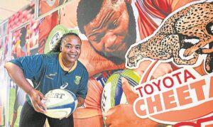 Bankvas  agter  Bok-broer