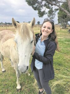 Terapie met perde kragtig
