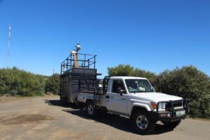 Bfn se Naval Hill verwelkom twee jong kameelperde