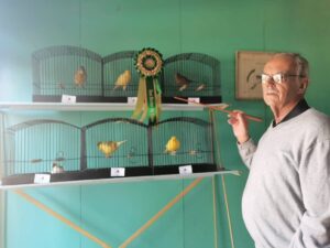 Voëlskou weer in Bfn