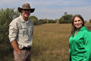 Kameelperde nou tuis