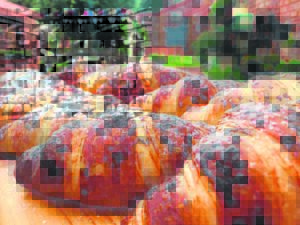 Smulkos wag op besoekers