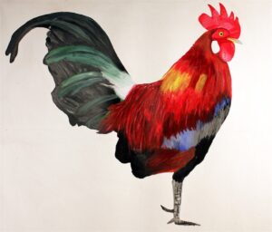 Leerlinge kan wen met verbeelding