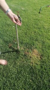 On Mother’s Day, the residents of numerous holdings around Bloemfontein have been without water for 96 hours