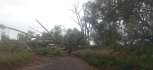 Donderstorms en sterk wind laat inwoners in Bfn kragteloos