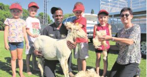 Skape voel ligter, leerlinge word slimmer