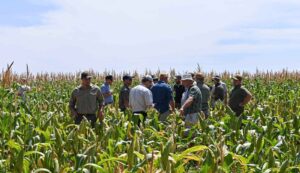 ‘Beste breine’ bymekaar