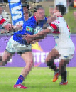 Kovsies kraai weer koning