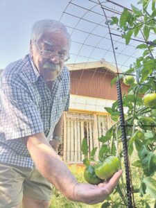 Kleine knewels een van die dae reuse