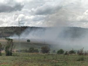 Groep takel vullis-sorge