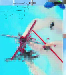 Action taking flight