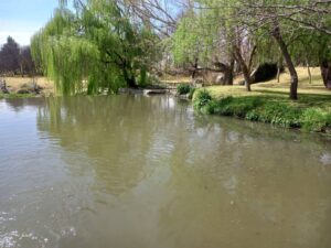 Inwoners spring in en maak vieslike spruit self skoon