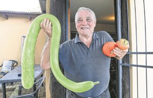 ‘Slange’ besluit vanjaar is die jaar vir ssspog-oes