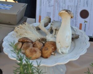 A fun time with mushrooms on offer at the French Market